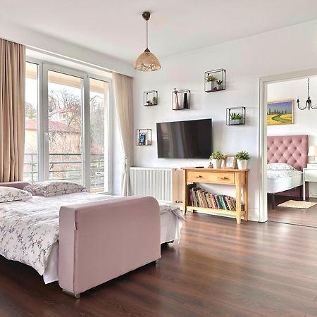 Central Premium Apartment Brassó Kültér fotó