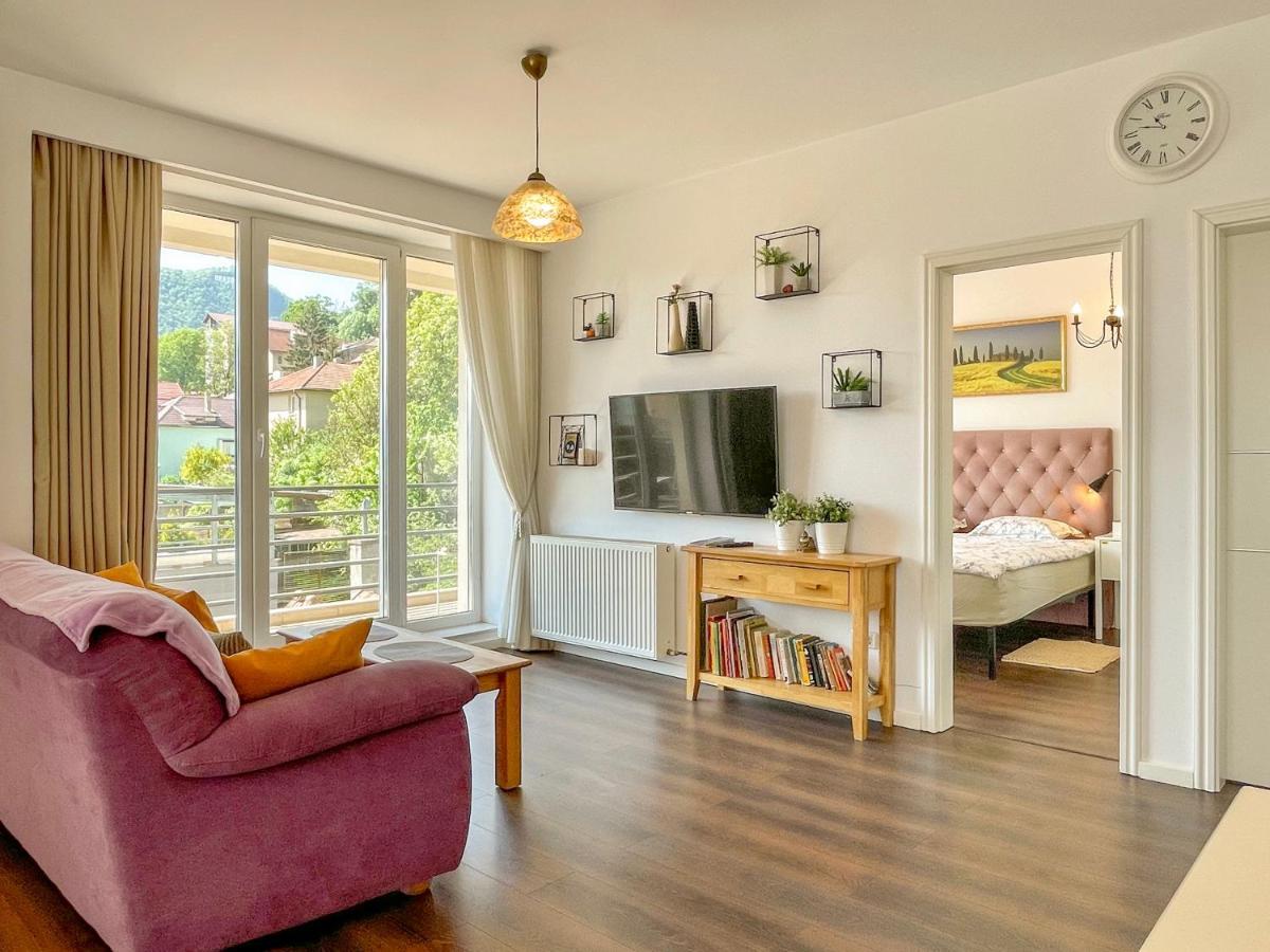 Central Premium Apartment Brassó Kültér fotó