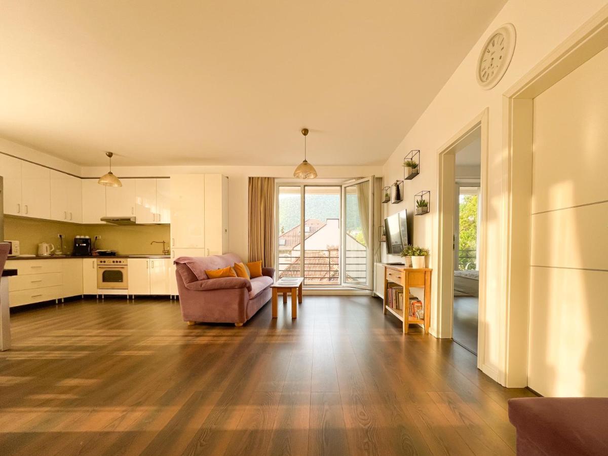 Central Premium Apartment Brassó Kültér fotó